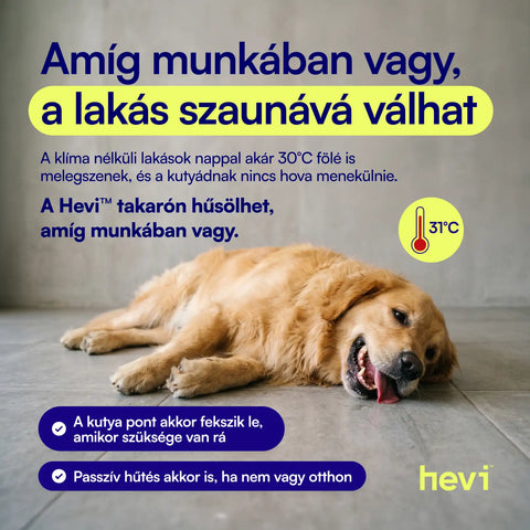 Hevi™ Pets Cooling Blanket